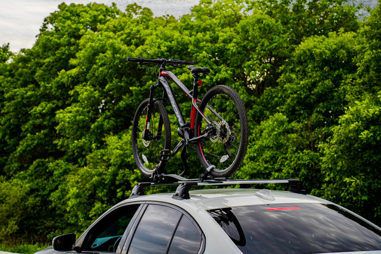 Bike support
