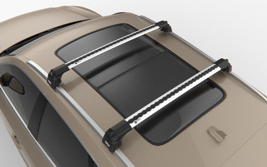 Dachregalkreuzstangen Schildkrötenluft-V2, silberne Farbe, für BMW X5 (F15) SUV 13-18 gewidmet